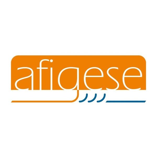 Assises de l'AFIGESE