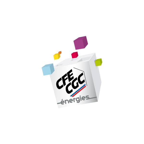 CFE-CGC Energies Conference