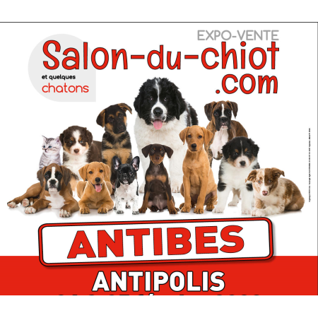 Salon du chiot